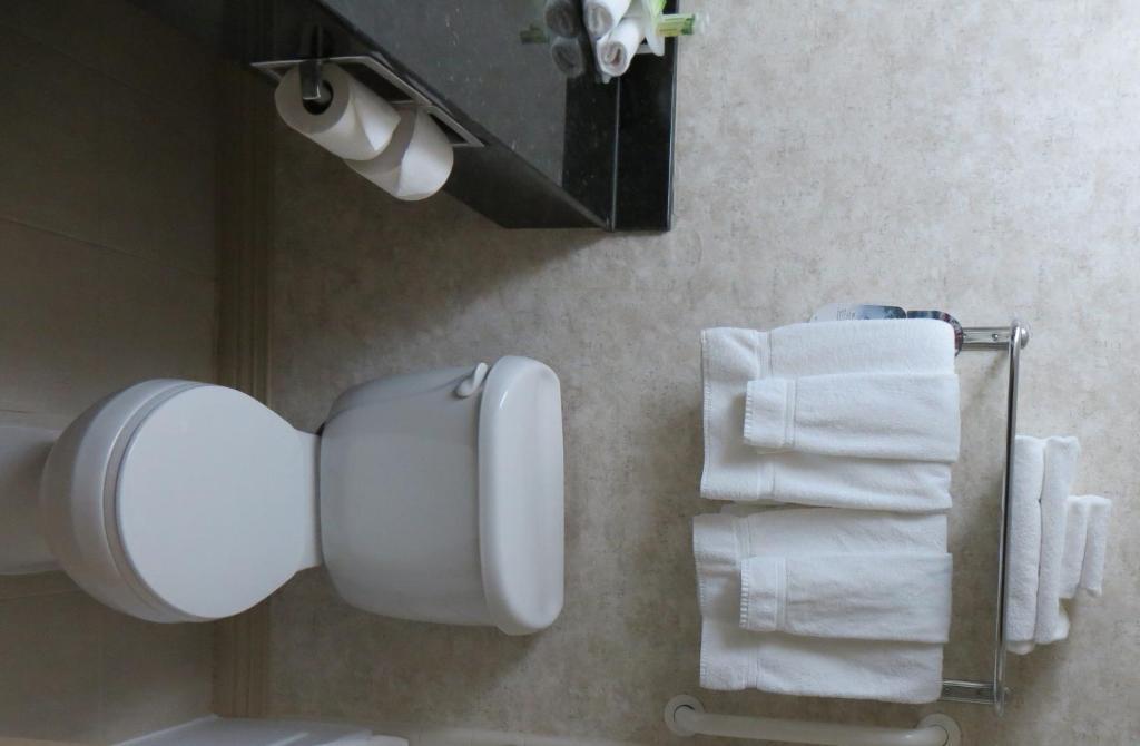 Holiday Inn Express Waycross Værelse billede